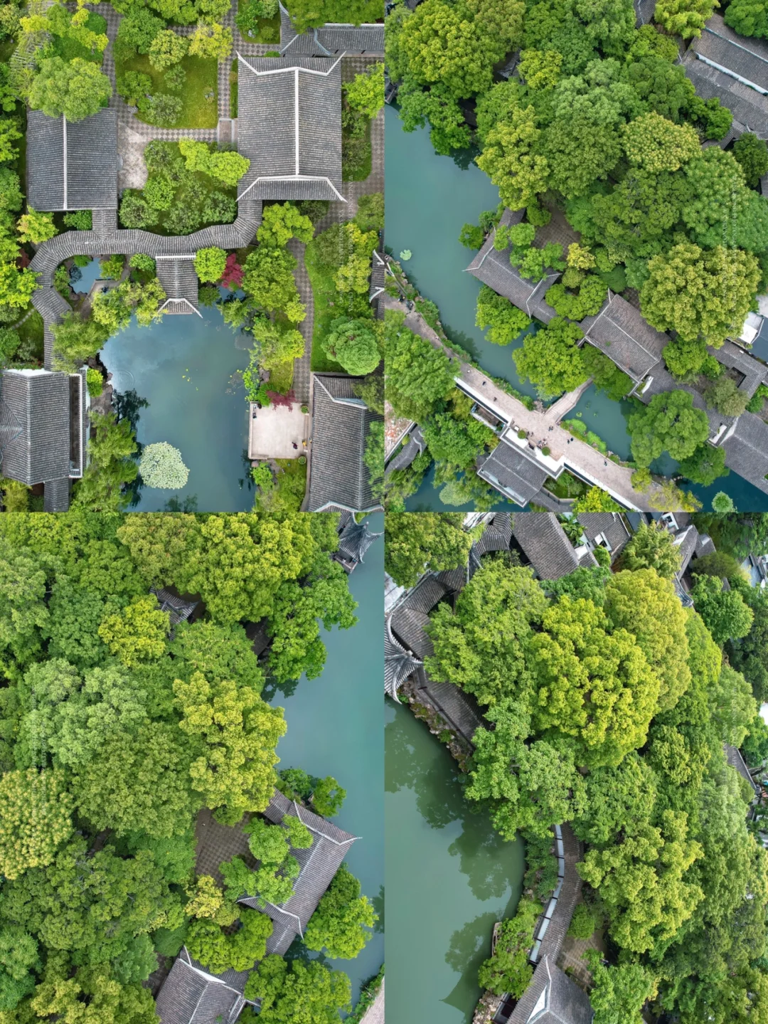 苏州的园林才是真正的园林｜沧浪亭