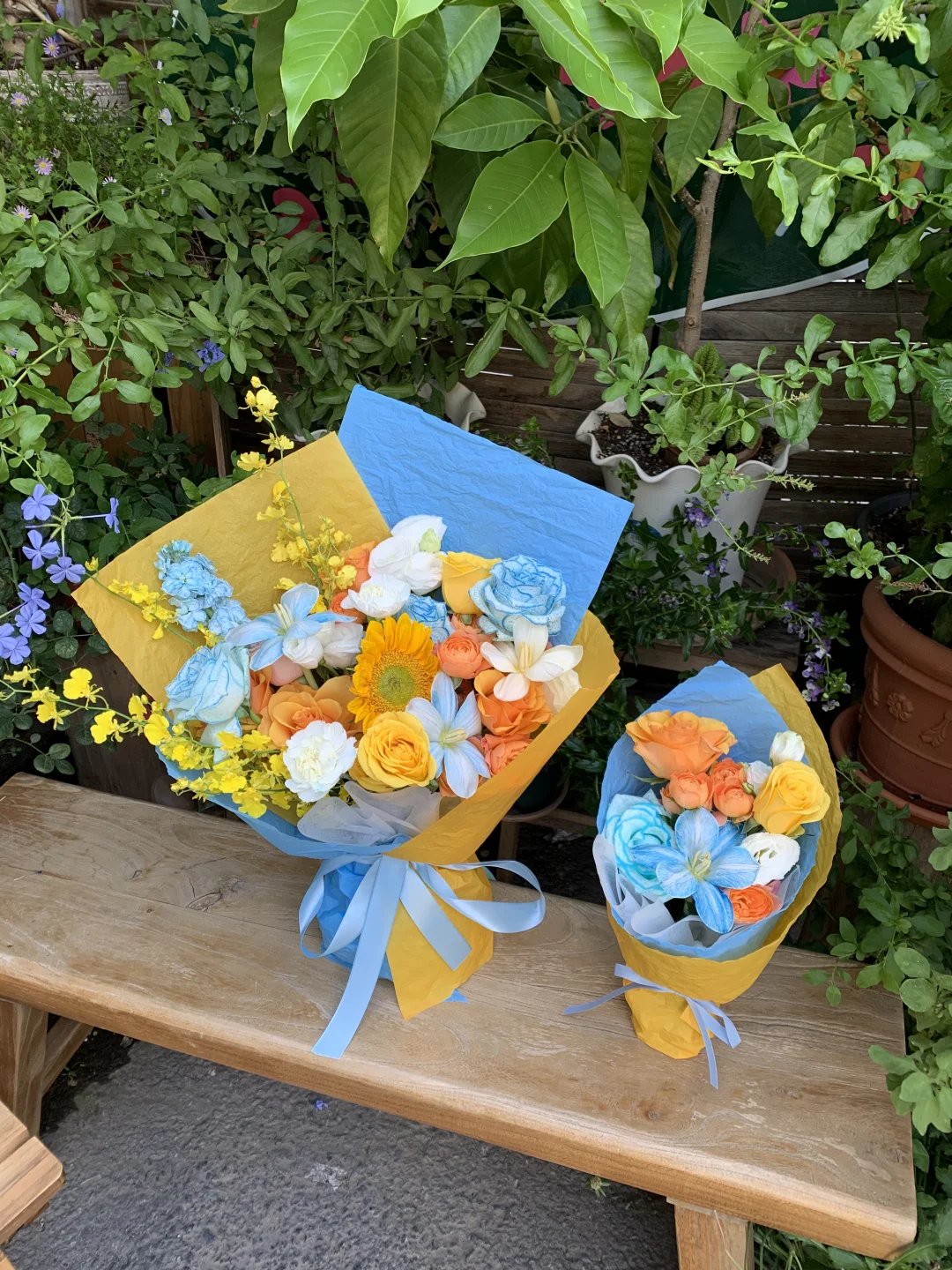 什么是好男人，就是老婆孩子都有花！！！🌼