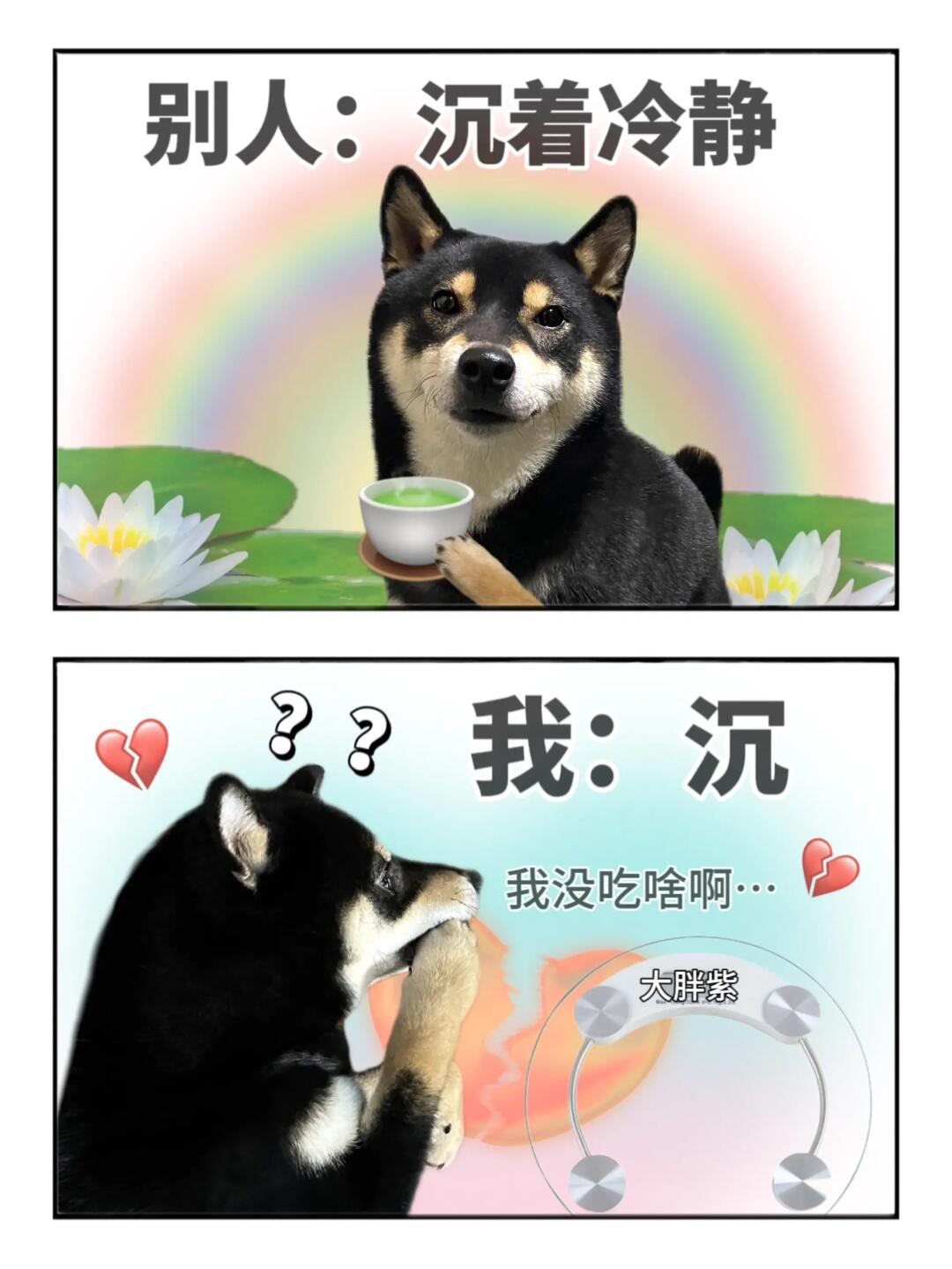 表情包|我就是我，看着自己都上火😌