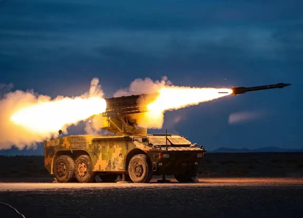 中式地面装备美图欣赏