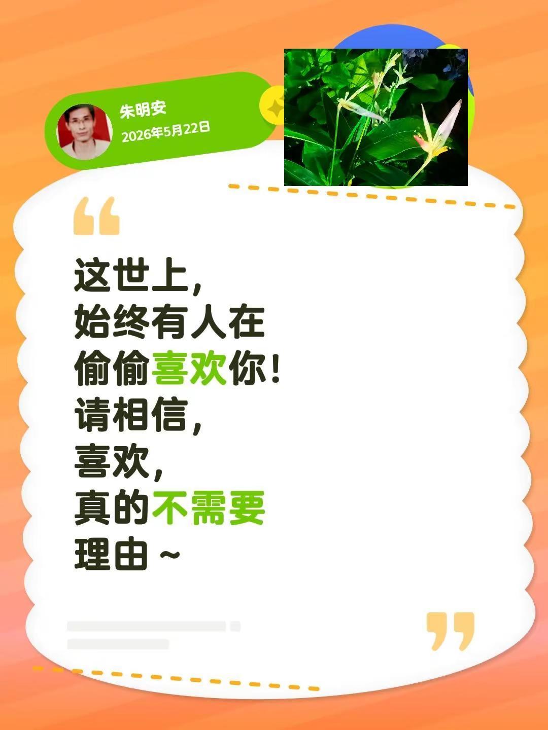 有人喜欢你，活下去的理由。世界上始终有人真正喜欢你 幸福的理由 因为喜欢所以热爱