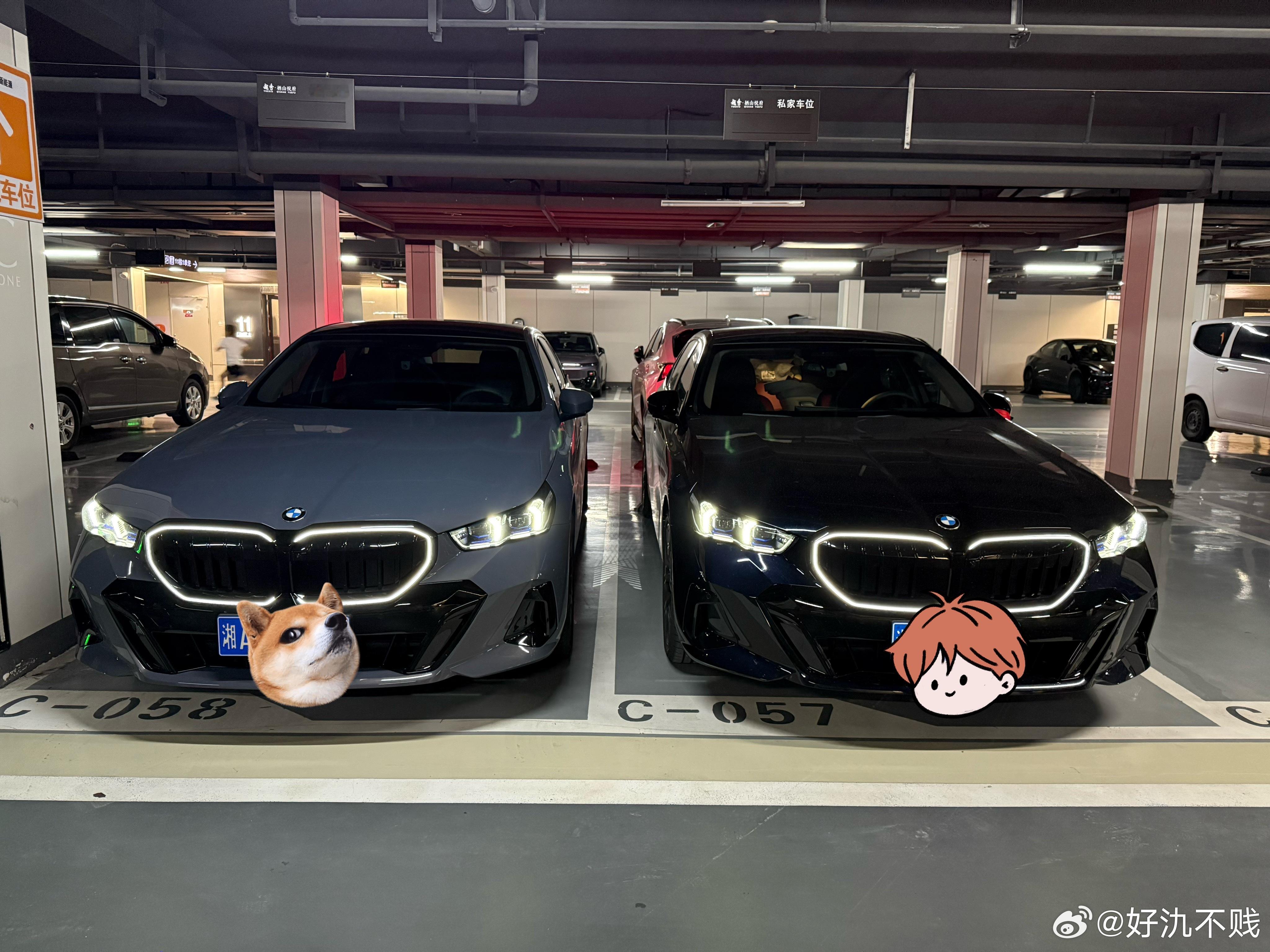 猪猪侠 长沙