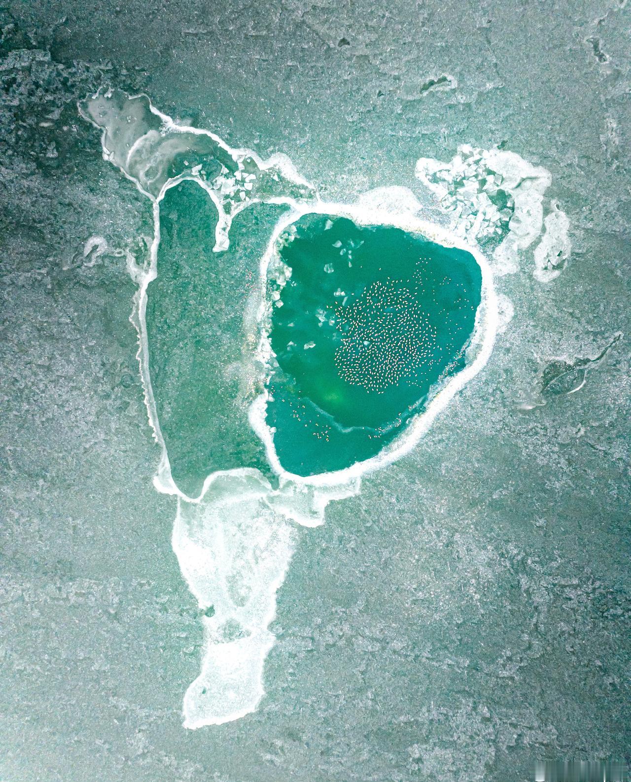 《踢腿》形似一位丰满的女子正在踢腿。 ​​​