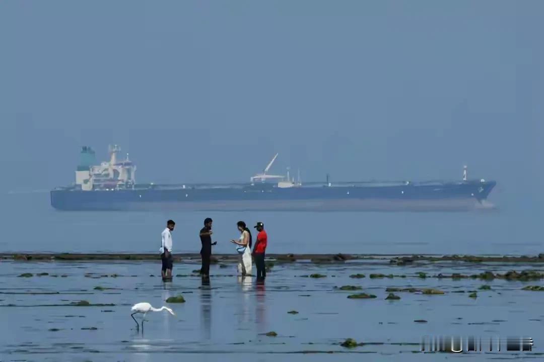 中东局势升温致油价飙升，印度作为84%石油依赖进口的国家十分慌张，去年其购买石油