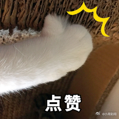 语文名师点评AI写高考作文围观AI比拼高考作文，多年阅卷专家道出实情，文字功底在