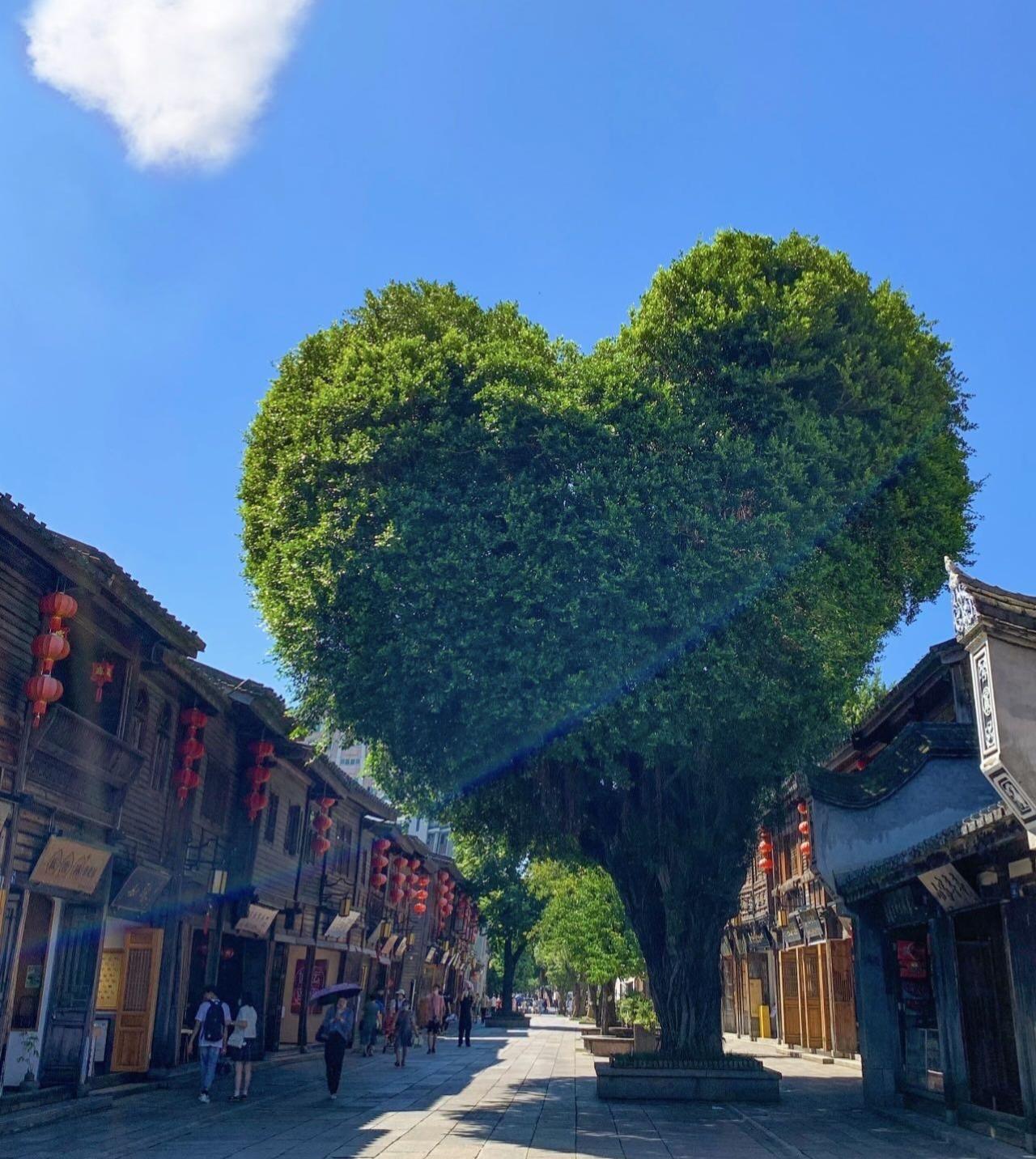 来福州之前，我从没想过，一座城市的温柔，是靠香气慢慢把人治愈的。
 
刚出地铁口