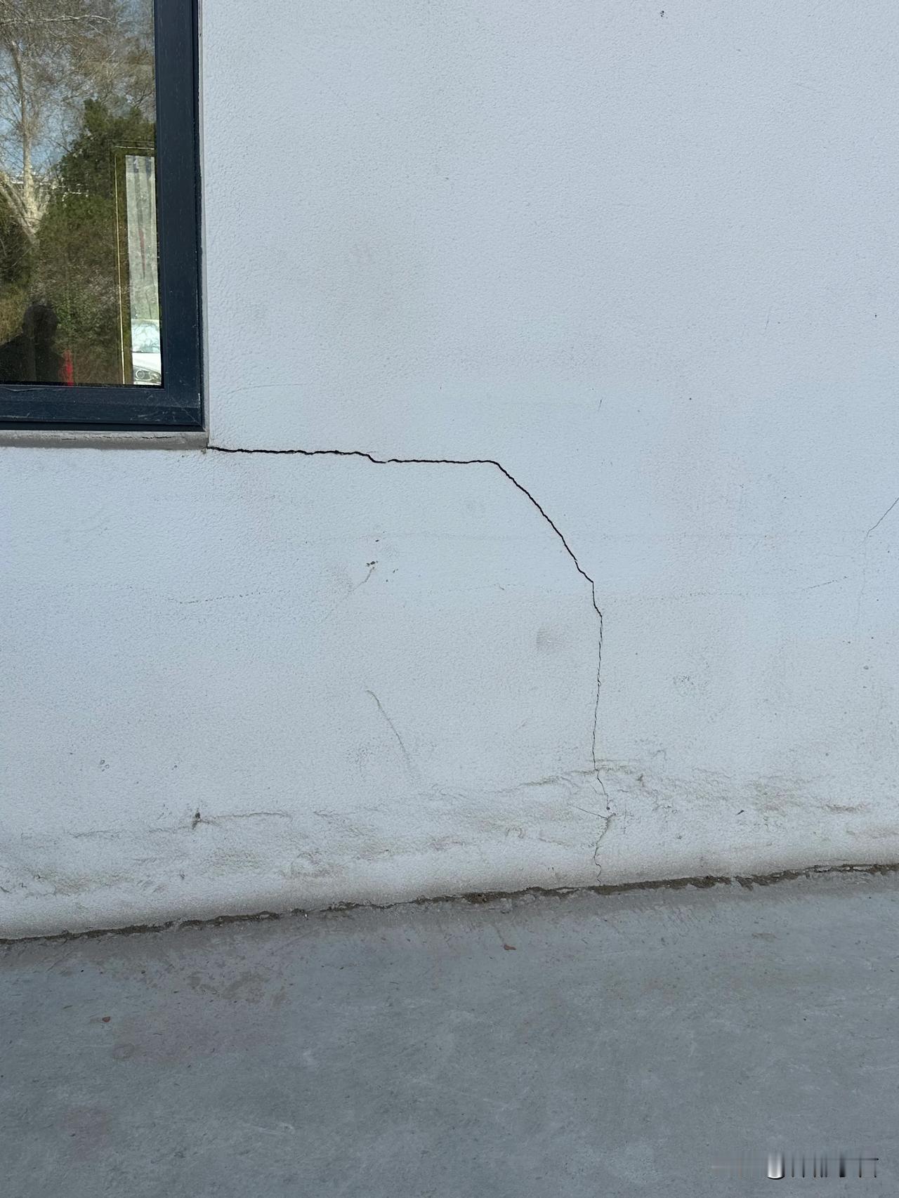 刚刚建成还没投入使用的房子怎么了？一一洛阳牡丹公园