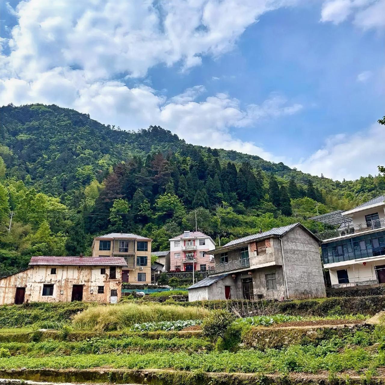 今天立夏，春天悄悄退场，热烈的夏天正式登场。
 
其实我们走的路从来都没有变，初