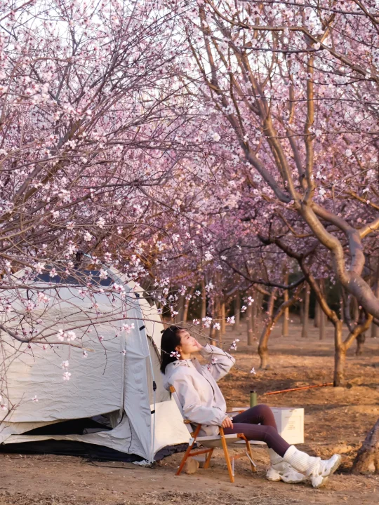 谁还没看过这片桃花海‼️车开河边的免费营地