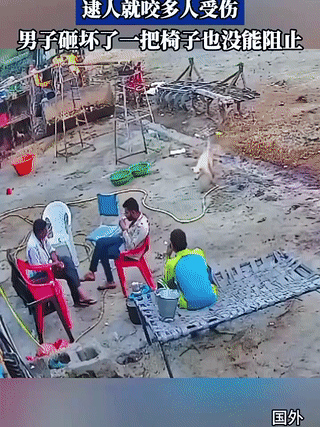 印度某地农村，一只疯狗突然闯进院子里看见人就咬！
现场的几个印度男人竟无一幸免？