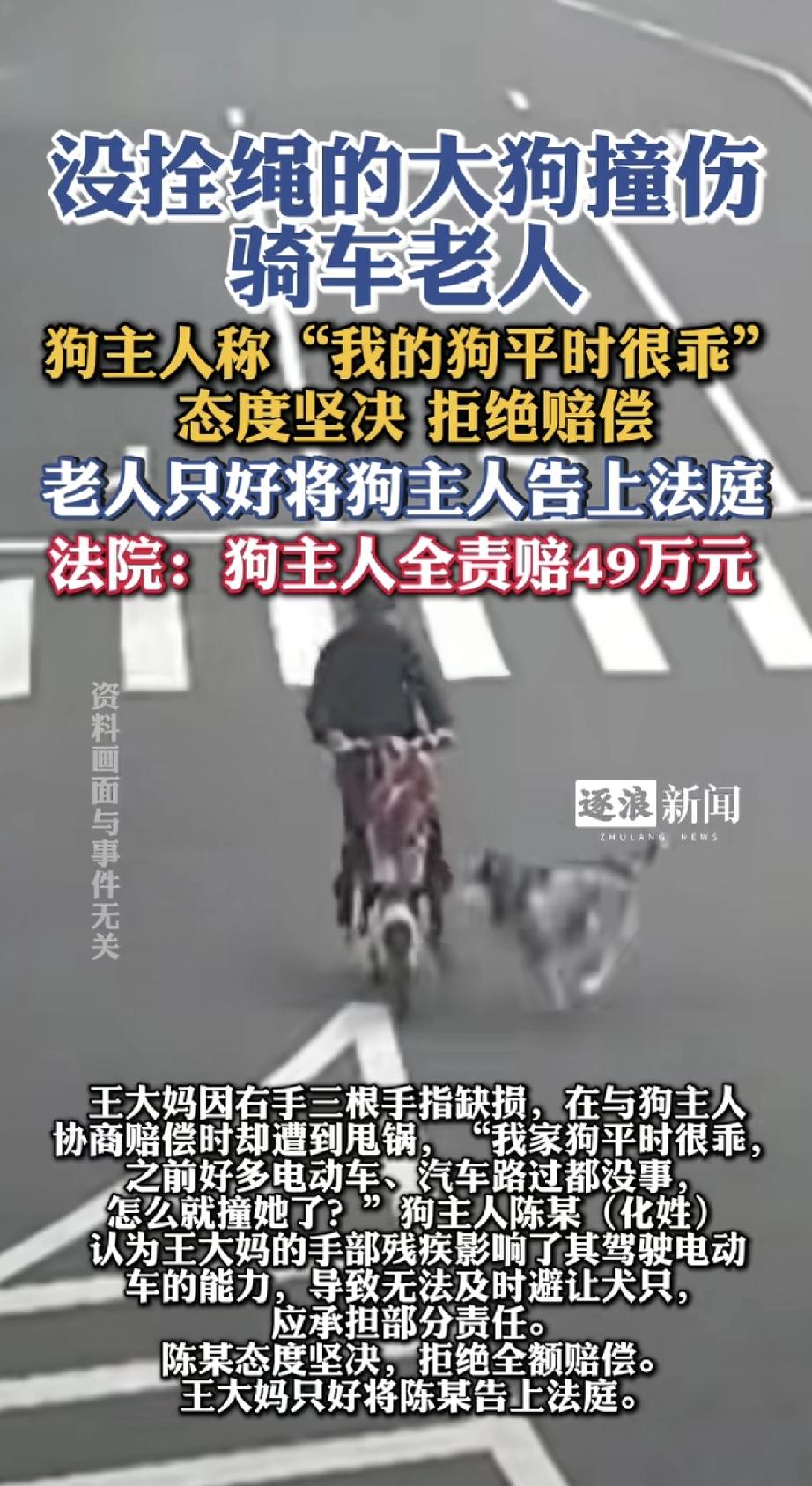 这狗主人也太不讲理了！自家没拴绳的大狗撞伤骑车老人，居然甩锅说“我家狗很乖，是她