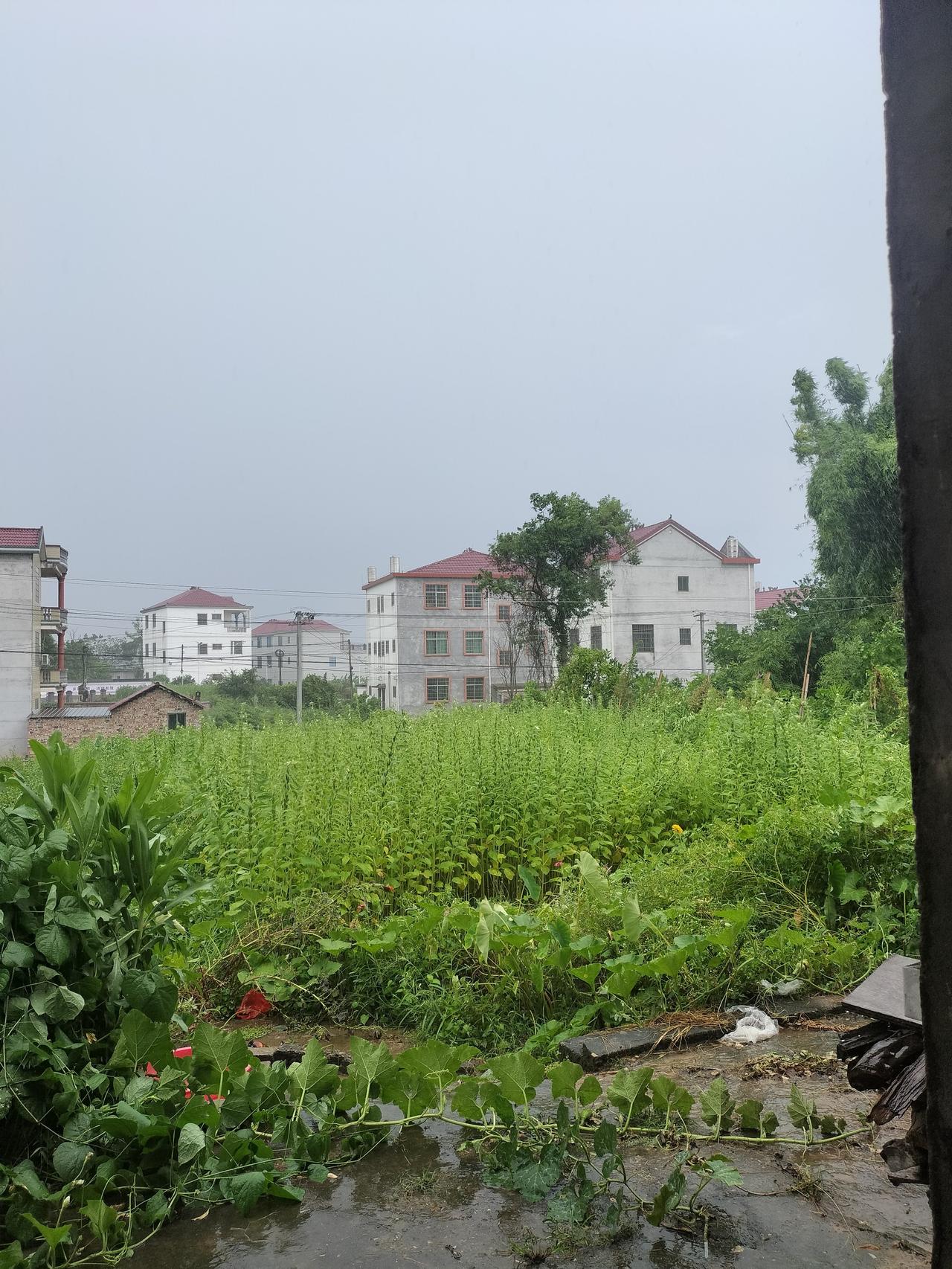现在是8月份，江西省今天傍晚的时候突然下特大暴雨，而且还刮狂风，真是让我们猝不及