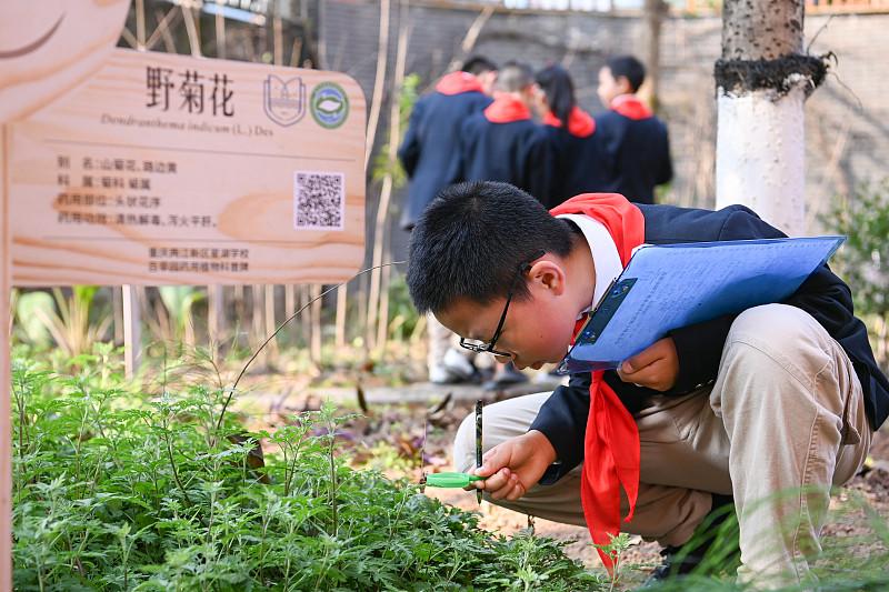 中小学每周半天校外实践：初衷很美好，落地不容易
 
把课堂搬出教室，每周拿出半天
