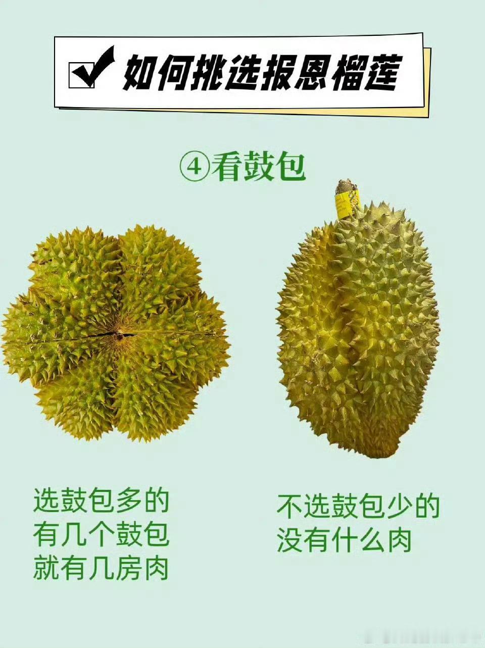 世界上最完美的榴莲出现了 哇塞🤩，传说中的报恩榴莲，晚上我也买个回来试试。