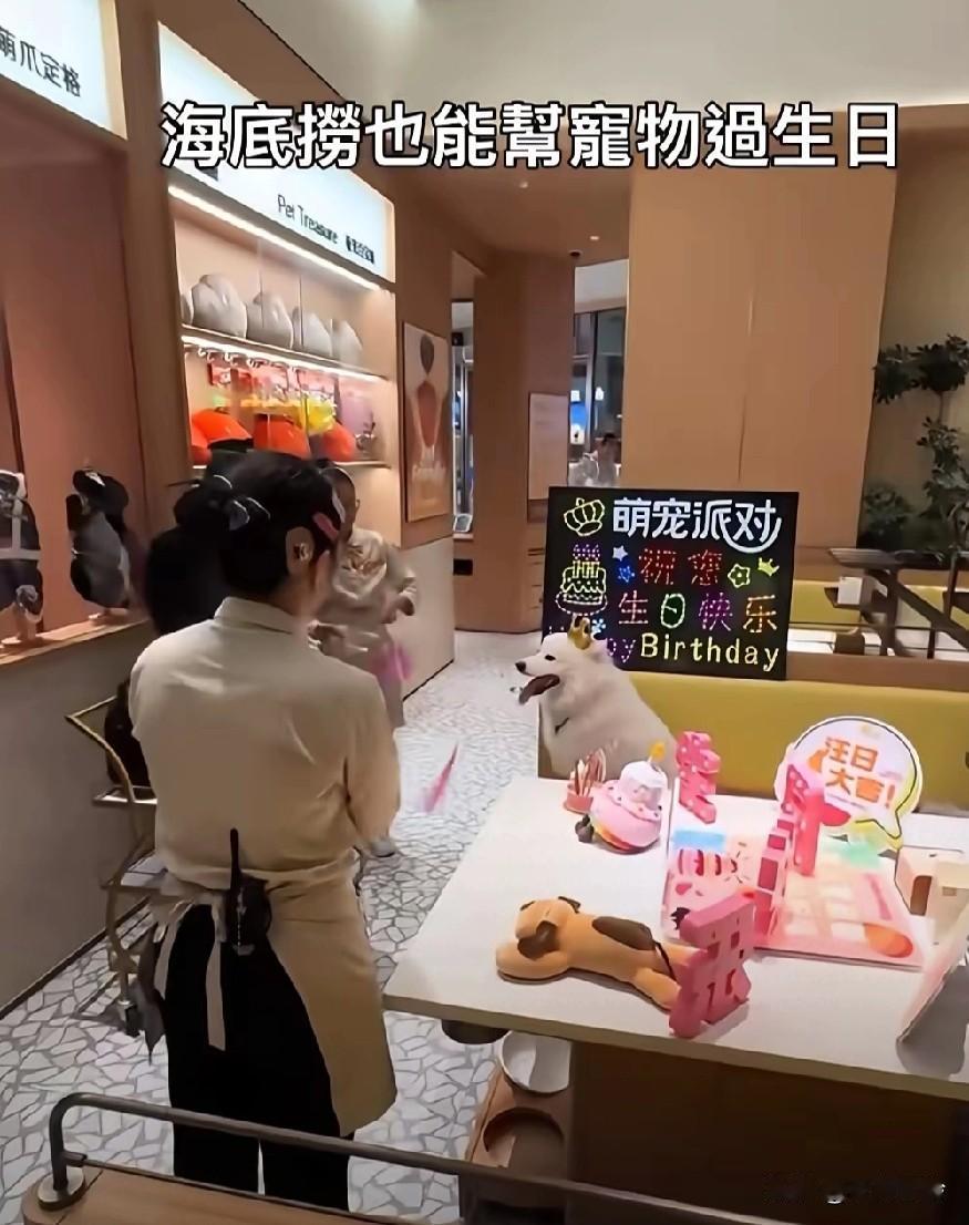 三观尽碎啊！这是什么世道？
狗主人让一群海底捞员工手持彩带，又唱又跳，给一条狗过