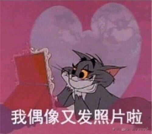 当然能了，谁还没有个爱好，但是追星得有限度，不能像很多年前的刘丽娟追刘德华那样就