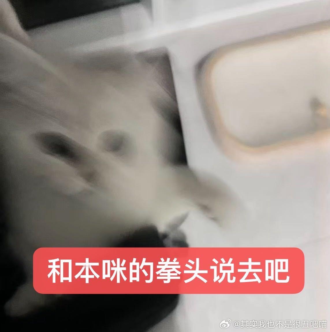 49041【心灵丑】高柱已两只手都包上纱布…… 