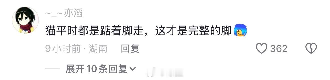 国乒男队队长王楚钦好标准的猫咪站姿……🐱 