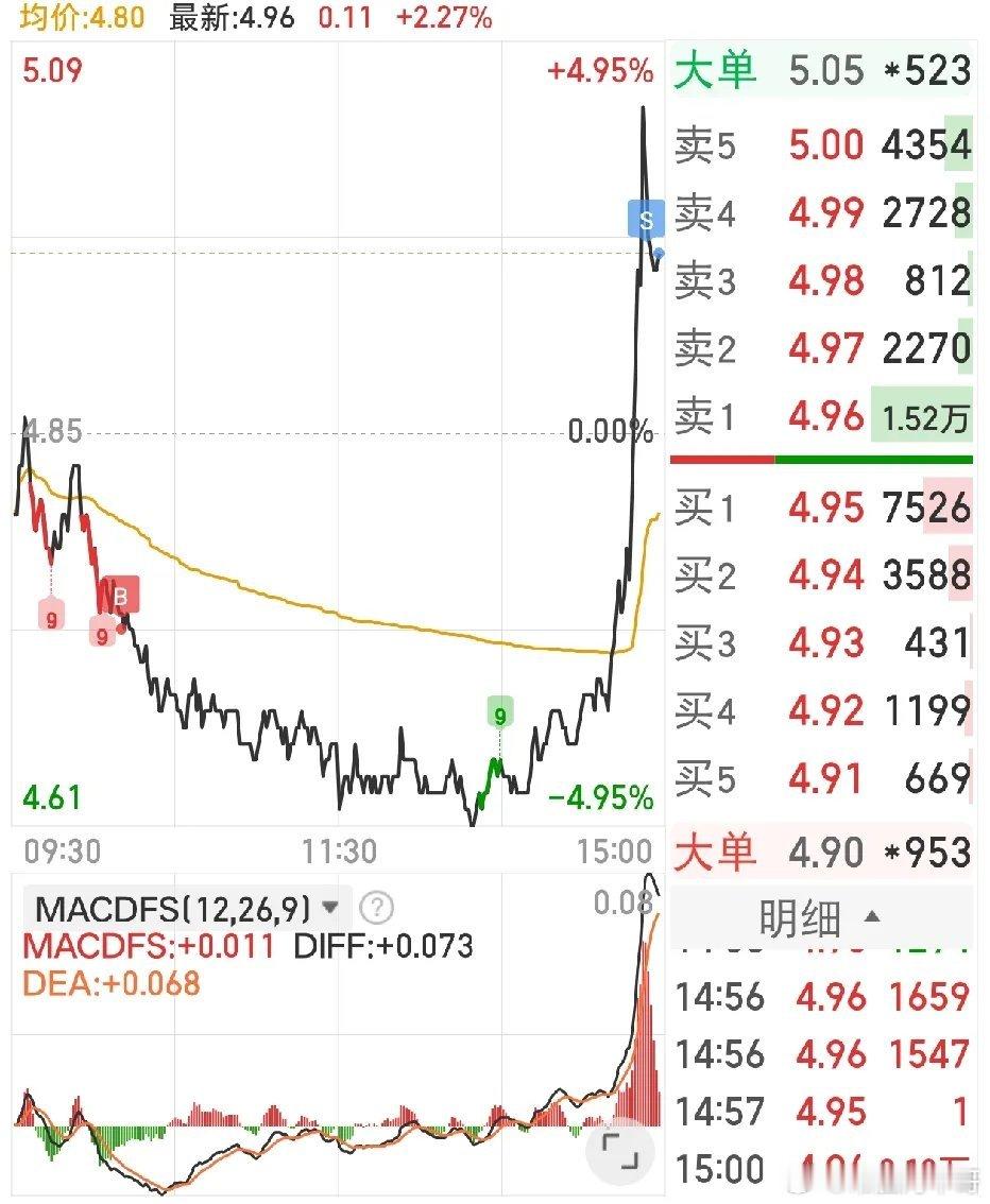 今天实现大逆转尾盘竟然赚钱了，关键今天重仓票还有大跌的，电力股暴跌，一个电力软件