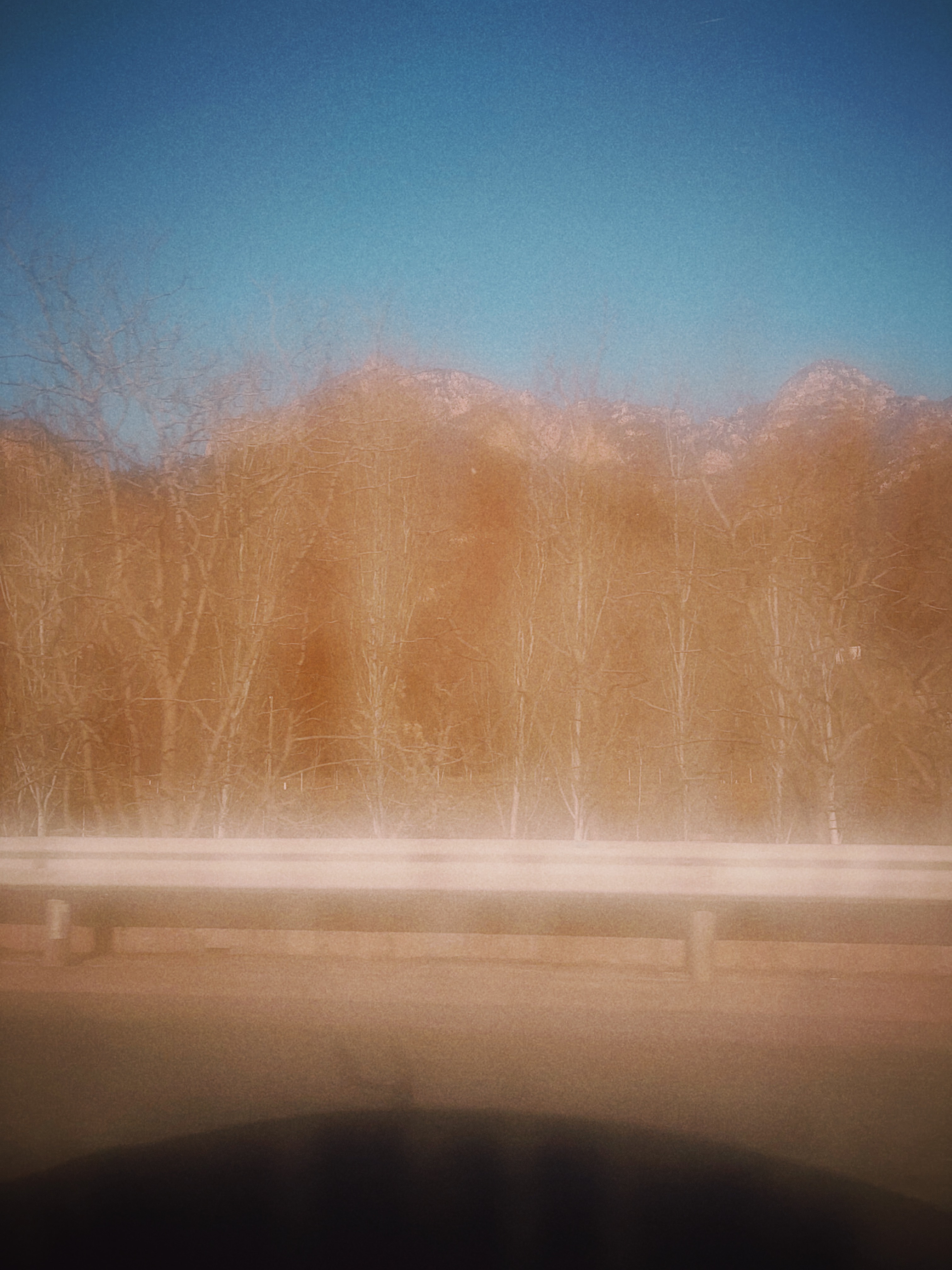 早，今天独自上四明山，勘景，但愿别有雪。 