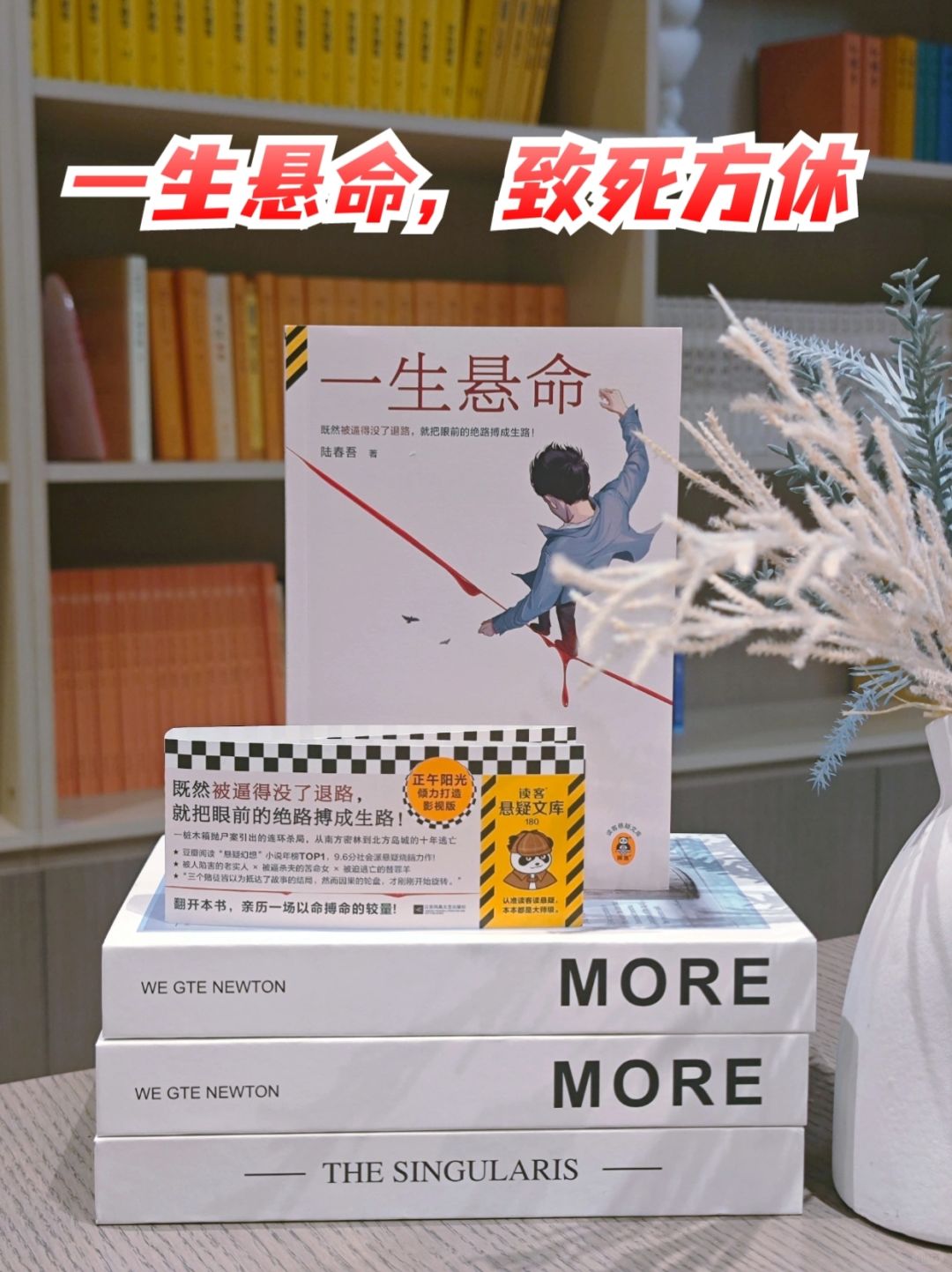 不愧是豆瓣阅读高分悬疑小说，太好看啦～