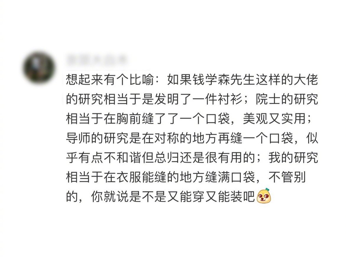 大佬的研究固然有重要的学术价值，我的研究也是在口袋上又缝一个小口袋，解决了口袋上