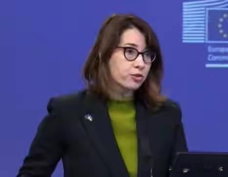 欧盟按耐不住了！开始对我们指手画脚！

12月30日，欧盟对外行动署发言人安妮塔