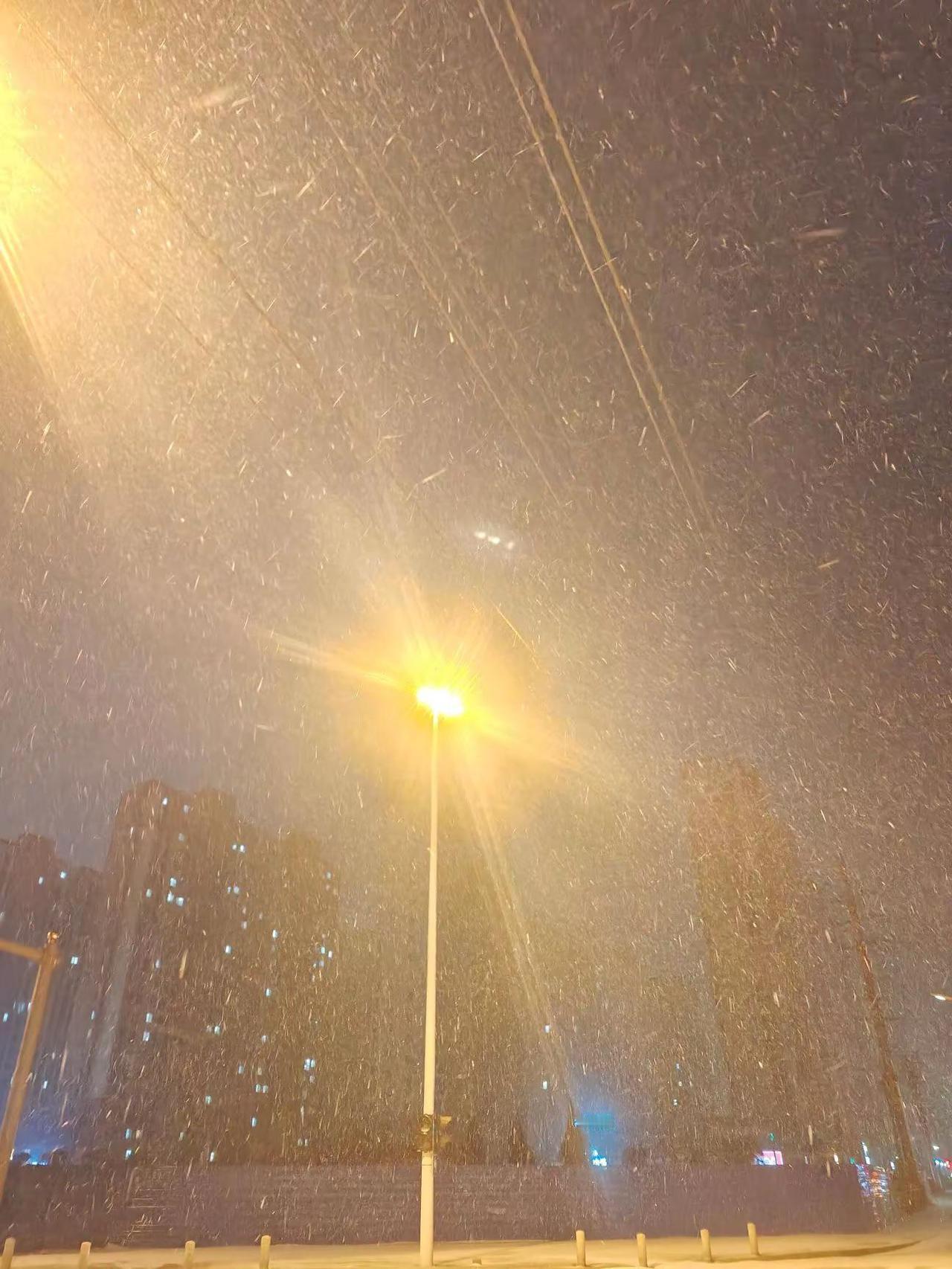 冬天是属于富人的。