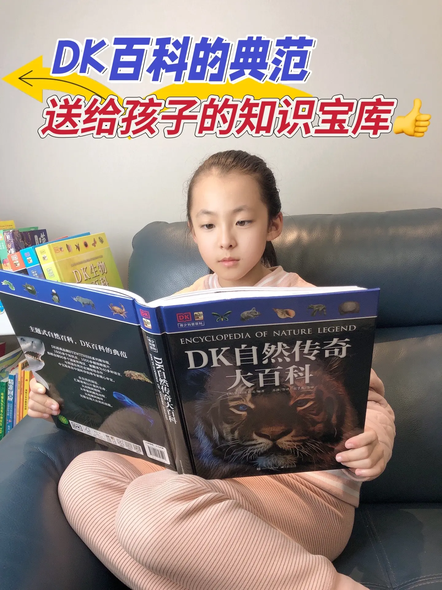 DK科学百科全书，全套四本，DK权威出版物，以图解的形式介绍科学知识...