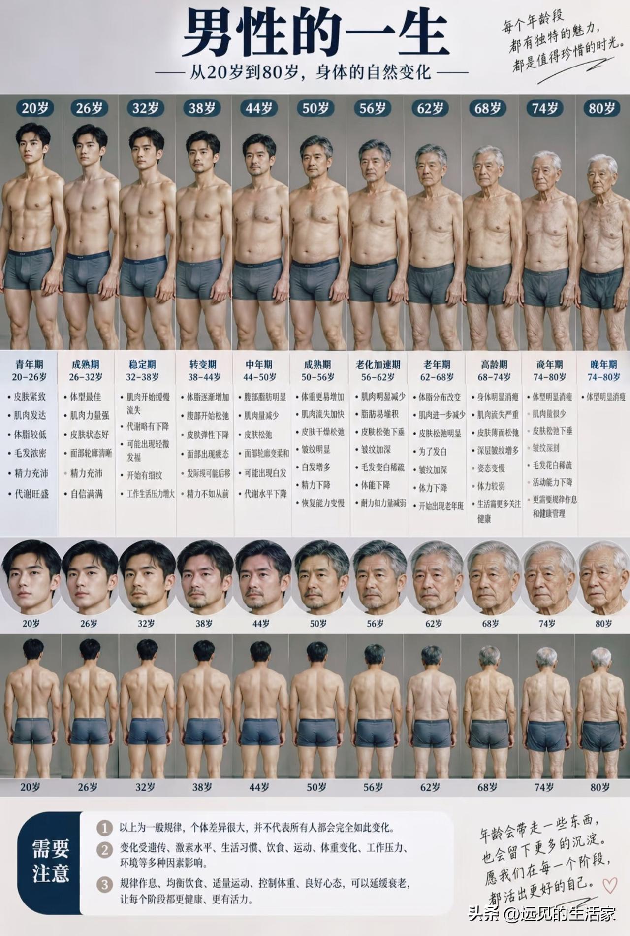 看懂男性20‑80岁身体变化：衰老不是突然发生的!
 
✨一张图看完男性从二十岁