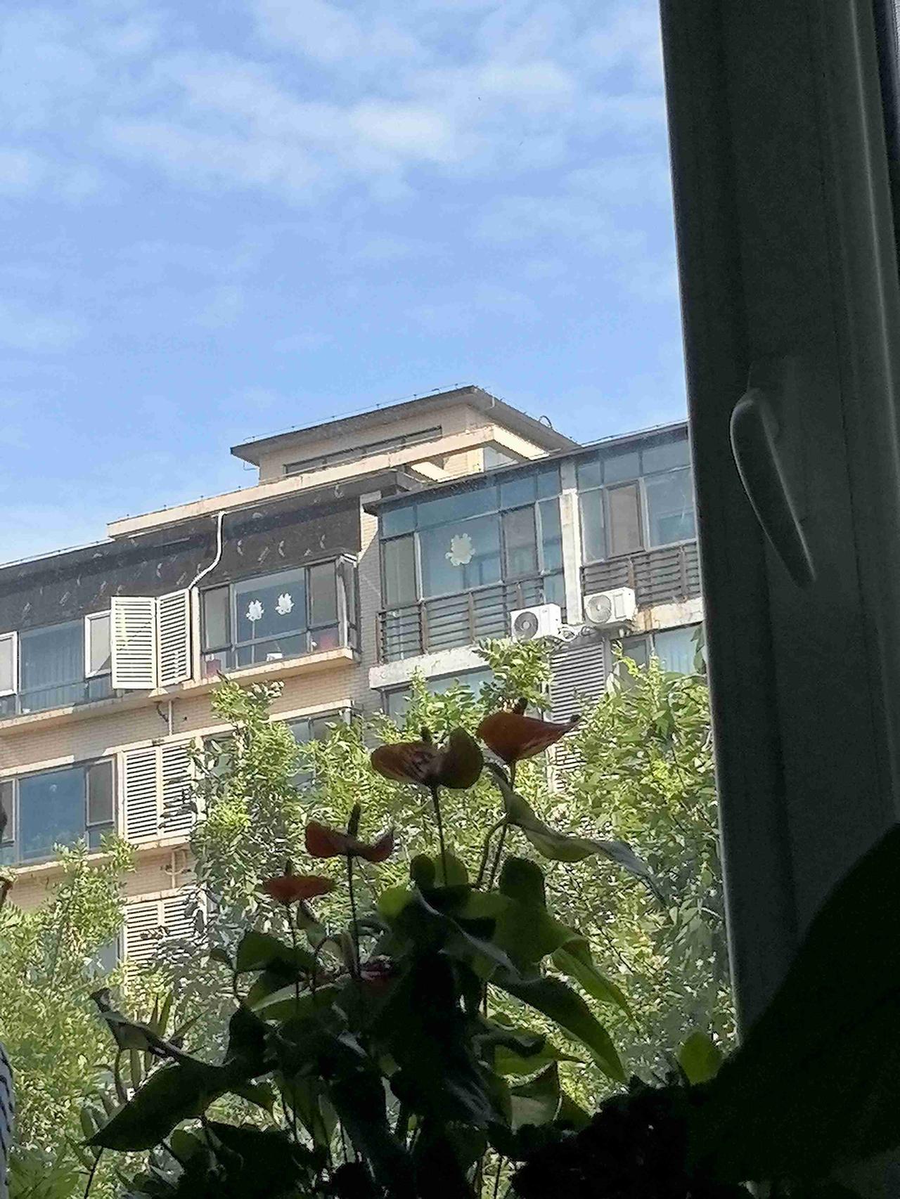 我的今日状态：😁轻松愉快
我这里的天气：☀️晴天