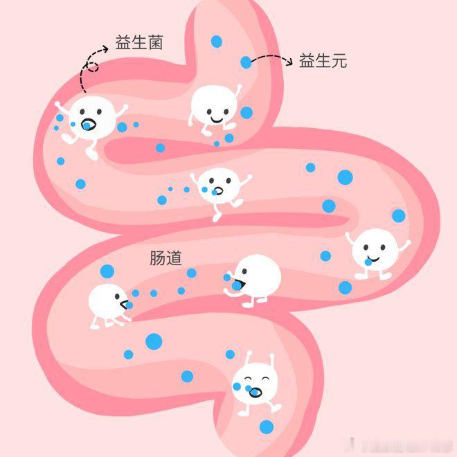 世界肠道健康日肠癌为何盯上年轻人想要肠道健康，一定是微生物组的平衡。我们的肠道住