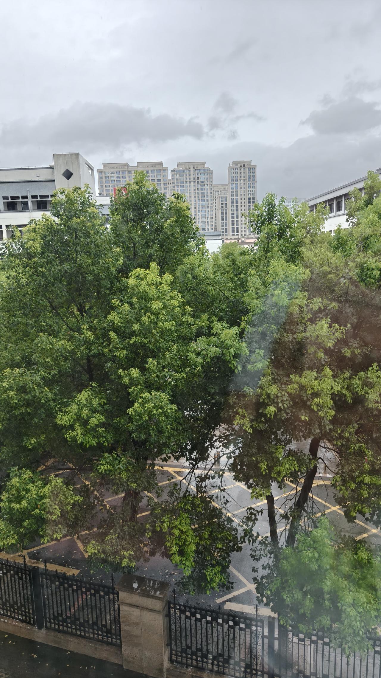 昨晚，我梦到了已故的母亲。算起来，已经有好些年没梦到她了。每次梦到她，我就知道没