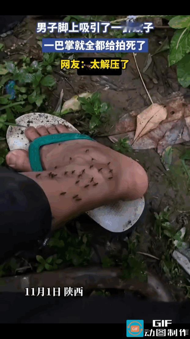 男子真是个狠人啊，脚踝处落满了蚊子，他硬是忍着一动不动，最后一巴掌拍下去。
张开
