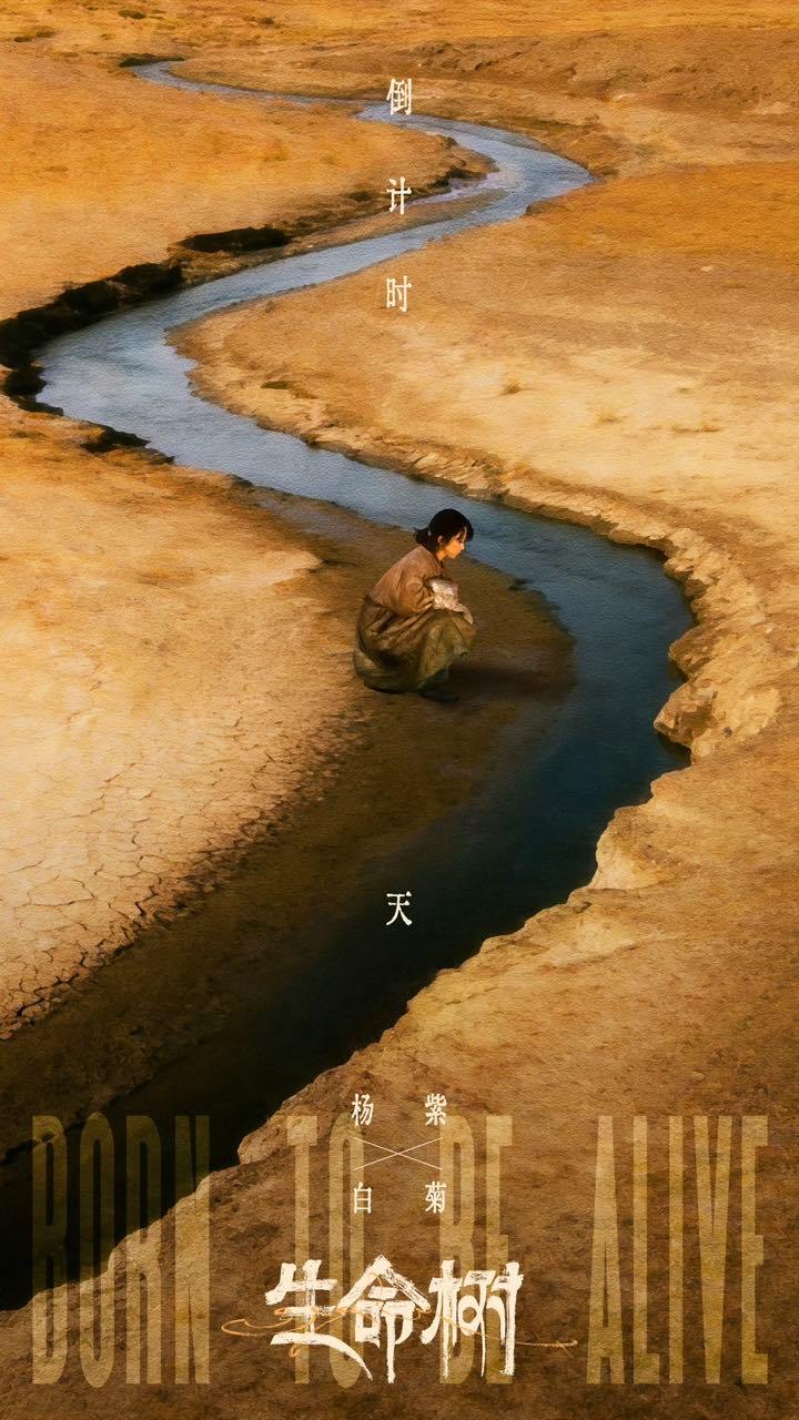 杨紫杨紫生命树开播倒计时3天杨紫生命树开播倒计时3天海报 杨紫生命树开播倒计时海