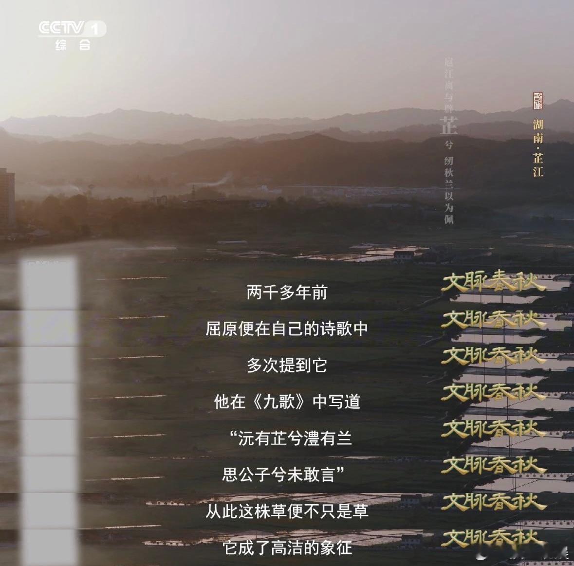 不起眼的小草是湖南灵魂香料湖南有座城因屈原诗句得名 别小看水边那把草，芷江人拿它