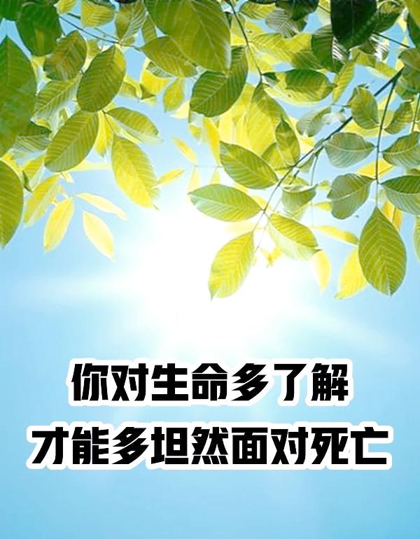 这是一个深刻而复杂的问题，关于“多少人会坦然面对生死”，没有一个绝对的数字或统一