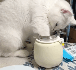 挖呀挖。挖呀挖。这里面到底是神马东东