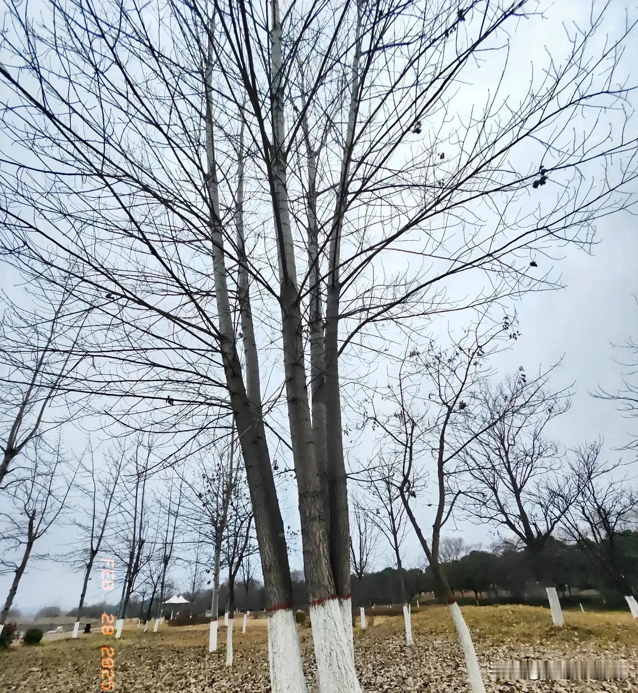 儿女是父母一辈子牵伴[赞]父母永远是儿女无时不在的靠山[比心]
一家子相依相偎相