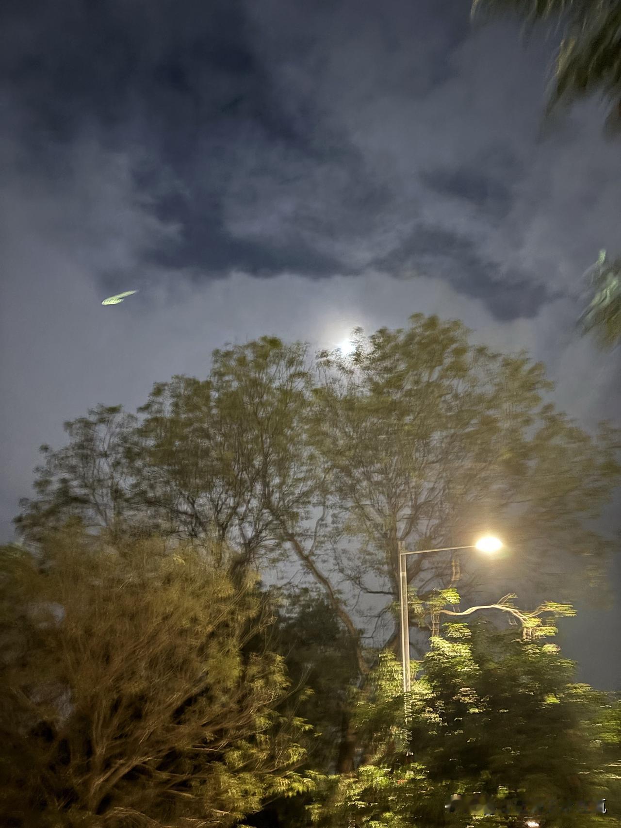 昨晚月亮特别大，走在奥体路。感觉特别特别。