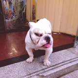 听风热聚娱乐