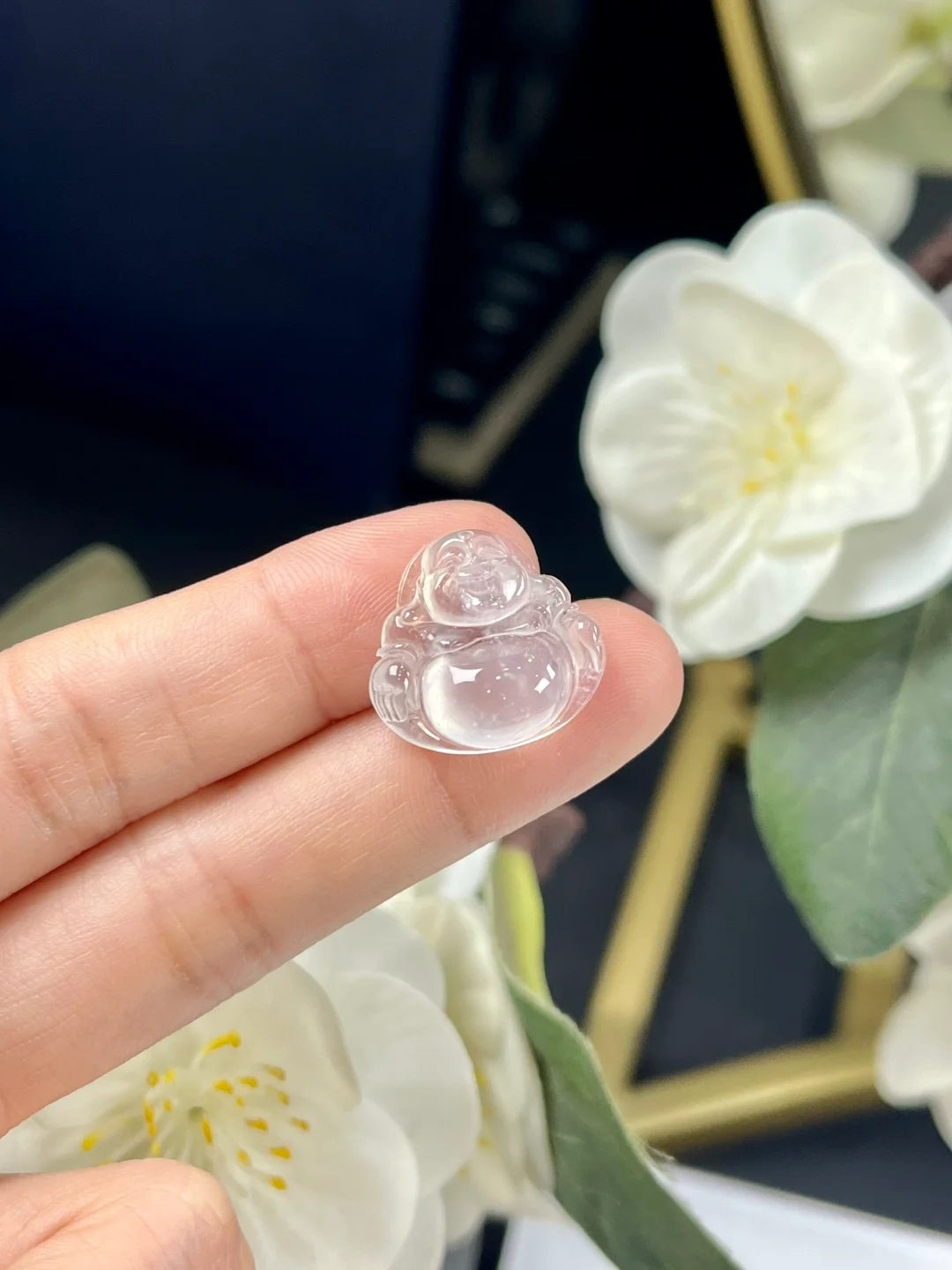 我买了1.2w的佛公有人跟我说是玛瑙？