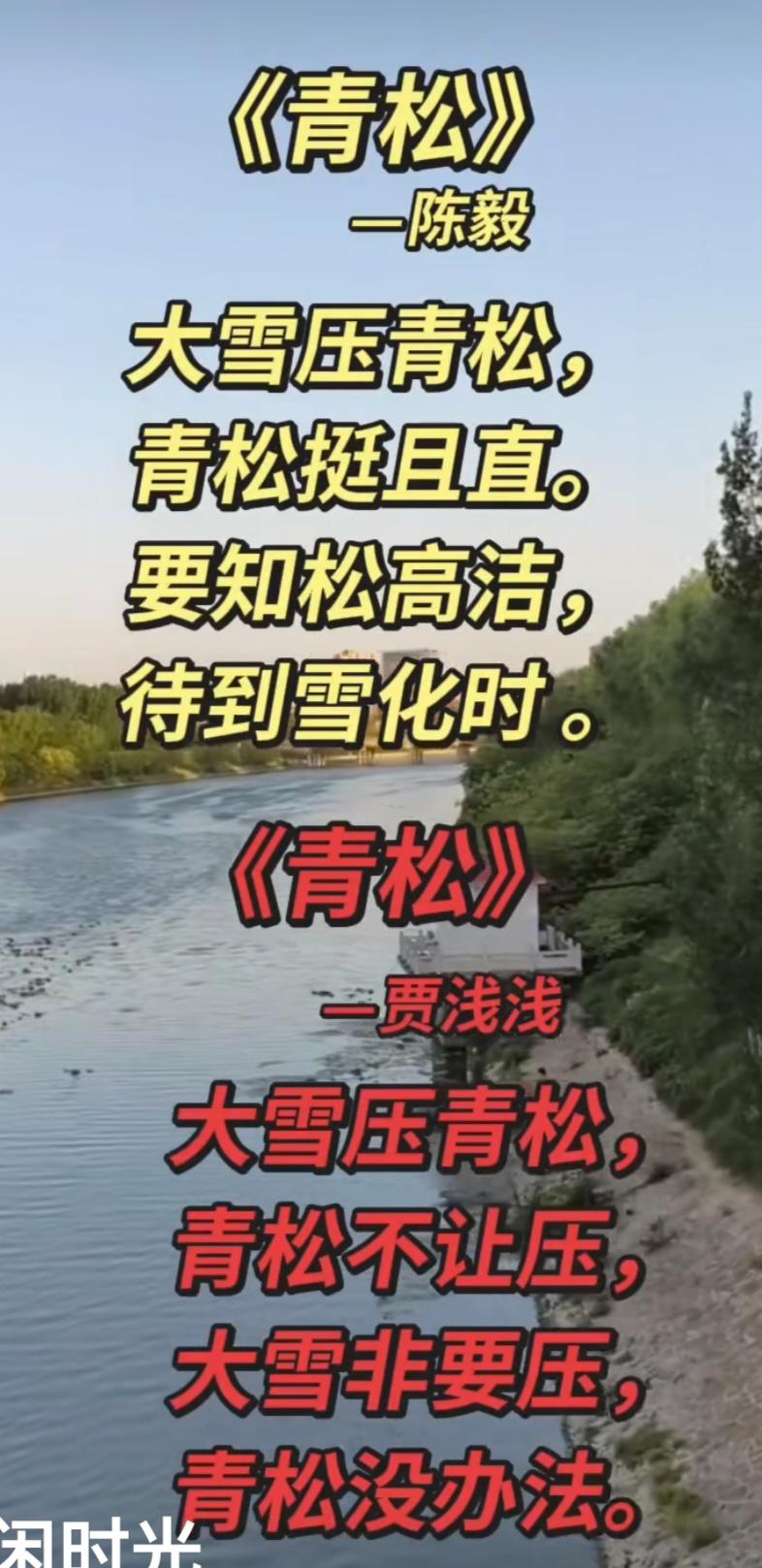 《青松》--贾浅浅
大雪压青松，
青松不让压，
大雪非要压，
青松没办法。
点评