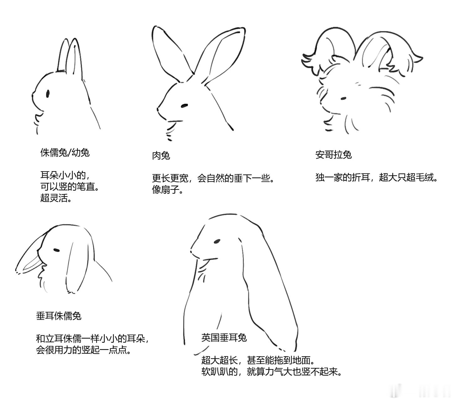 兔耳积累 