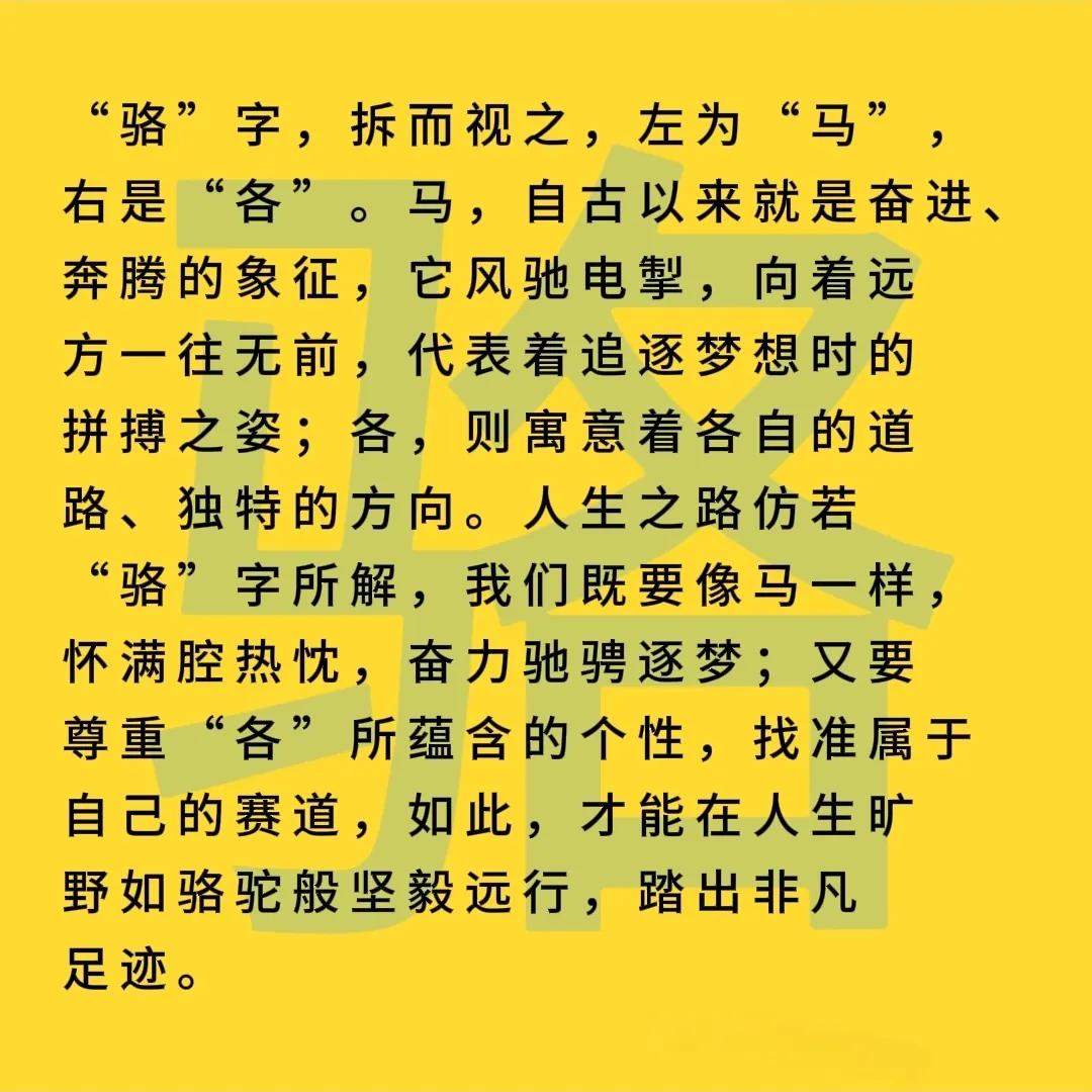 马儿站在路口旁