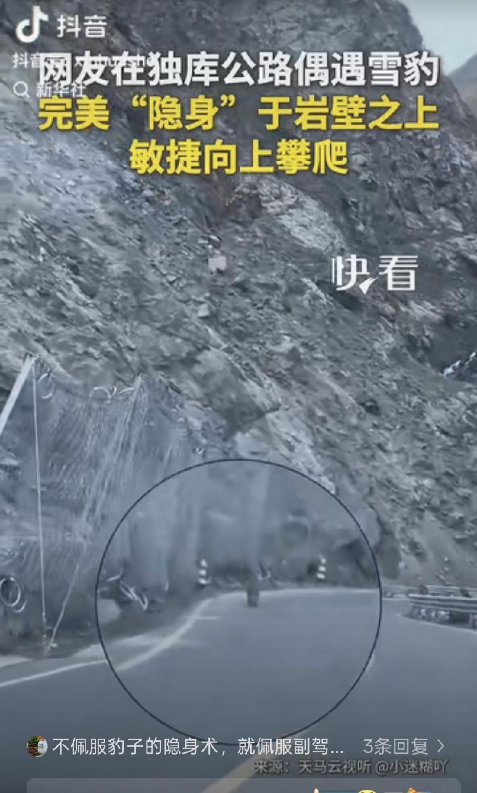“上新华社了!” 新疆，一对男女驾车行驶在独库公路上，副驾女子不经意抬头看了一眼