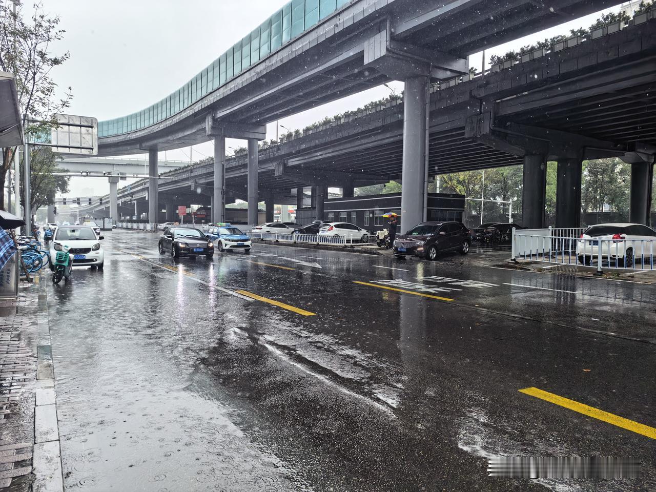 秋雨中的石家庄槐安路，骑着电动车的人比开私家车的人，开车更快！