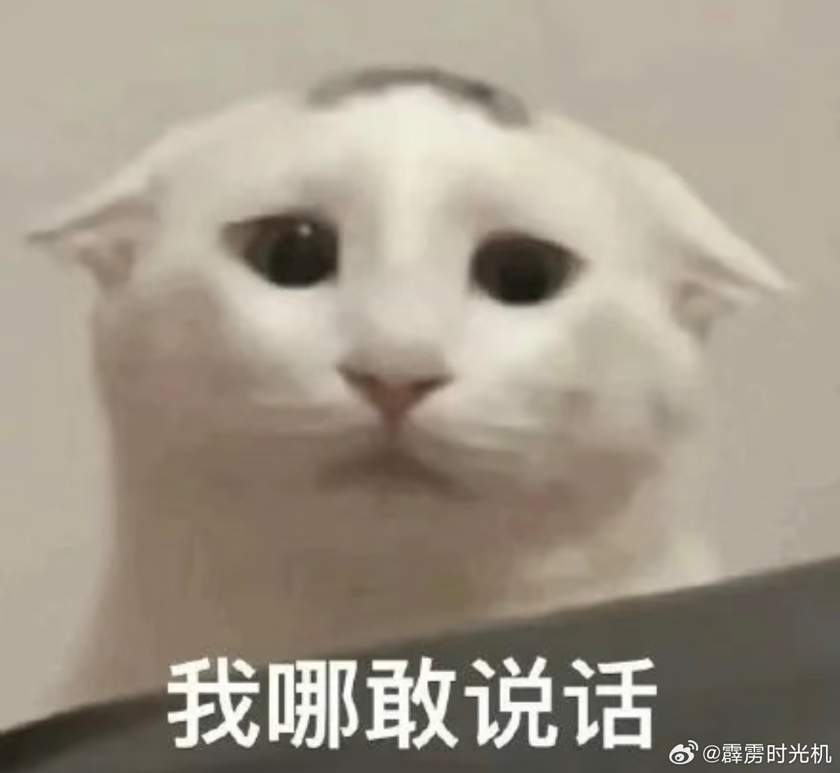 短剧不能参考影视行业，需要参考股市短剧 变天