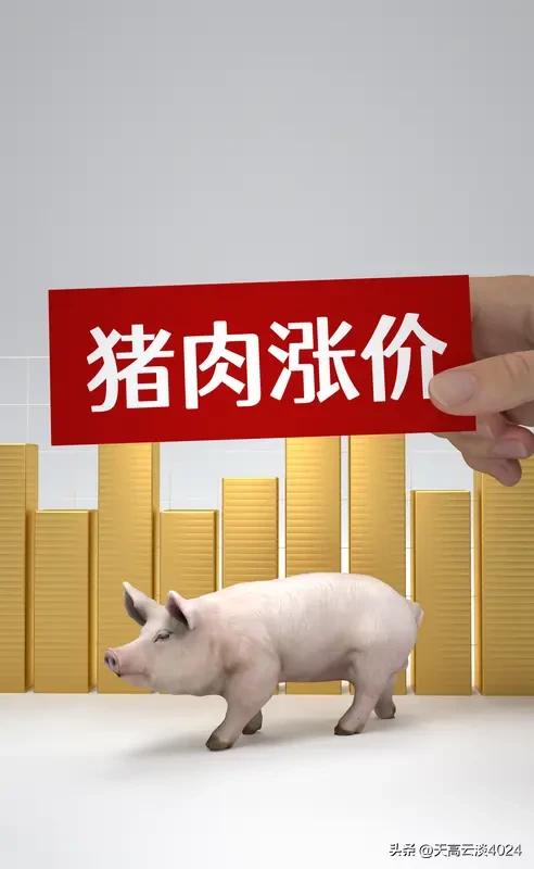 猪价为啥这么低 猪价跌破5元/斤，创7年新低，养殖户头均亏损超500元，这情况实