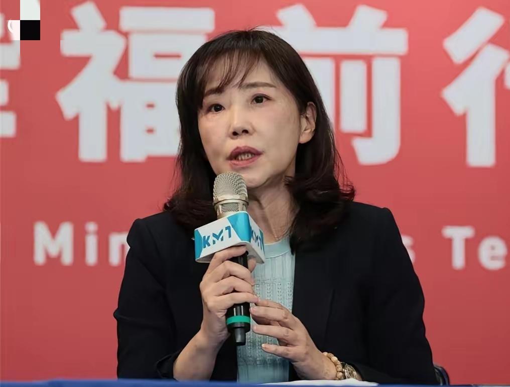 赖清德妄图窜访“谋独”落空，中国国民党急个什么劲？公然颠倒是非，对大陆横加指责，